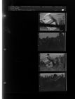 Wrecked car (4 Negatives (August 31, 1959) [Sleeve 68, Folder d, Box 18]